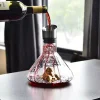 Wine Decanter Set, Red Wine Carafe with Built-in-Aerator, Wine Aerator, Wine Gifts for Christmas, Stainless Steel Pourer Lid, Filter, 100% Hand Blown Lead-free Crystal Glass
