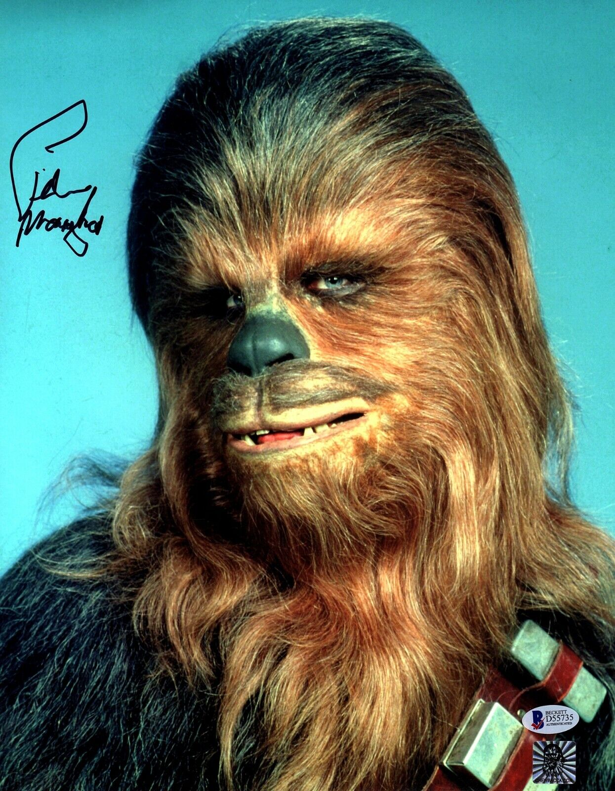 PETER MAYHEW Signed STAR WARS Chewbacca