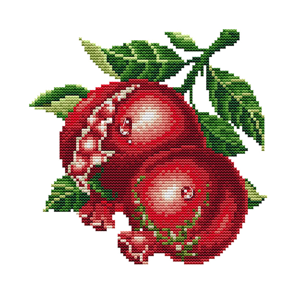 

Pomegranate - 14CT Stamped Cross Stitch - 21*21CM, 501 Original