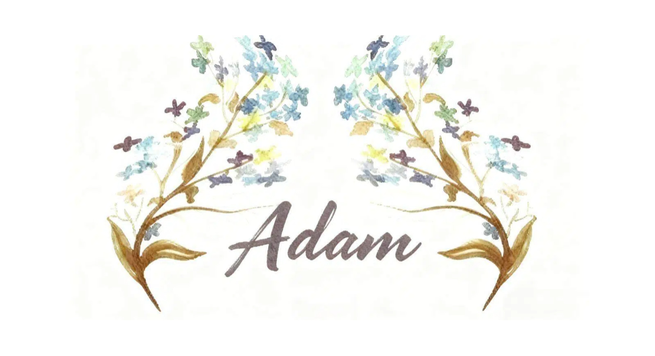Adamseed