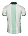 Werder Bremen Special 	Stripes Soccer Jersey 2025/26