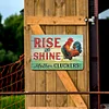 Chicken - Metal Tin Signs(8*12Inch/12*16Inch) - Animal