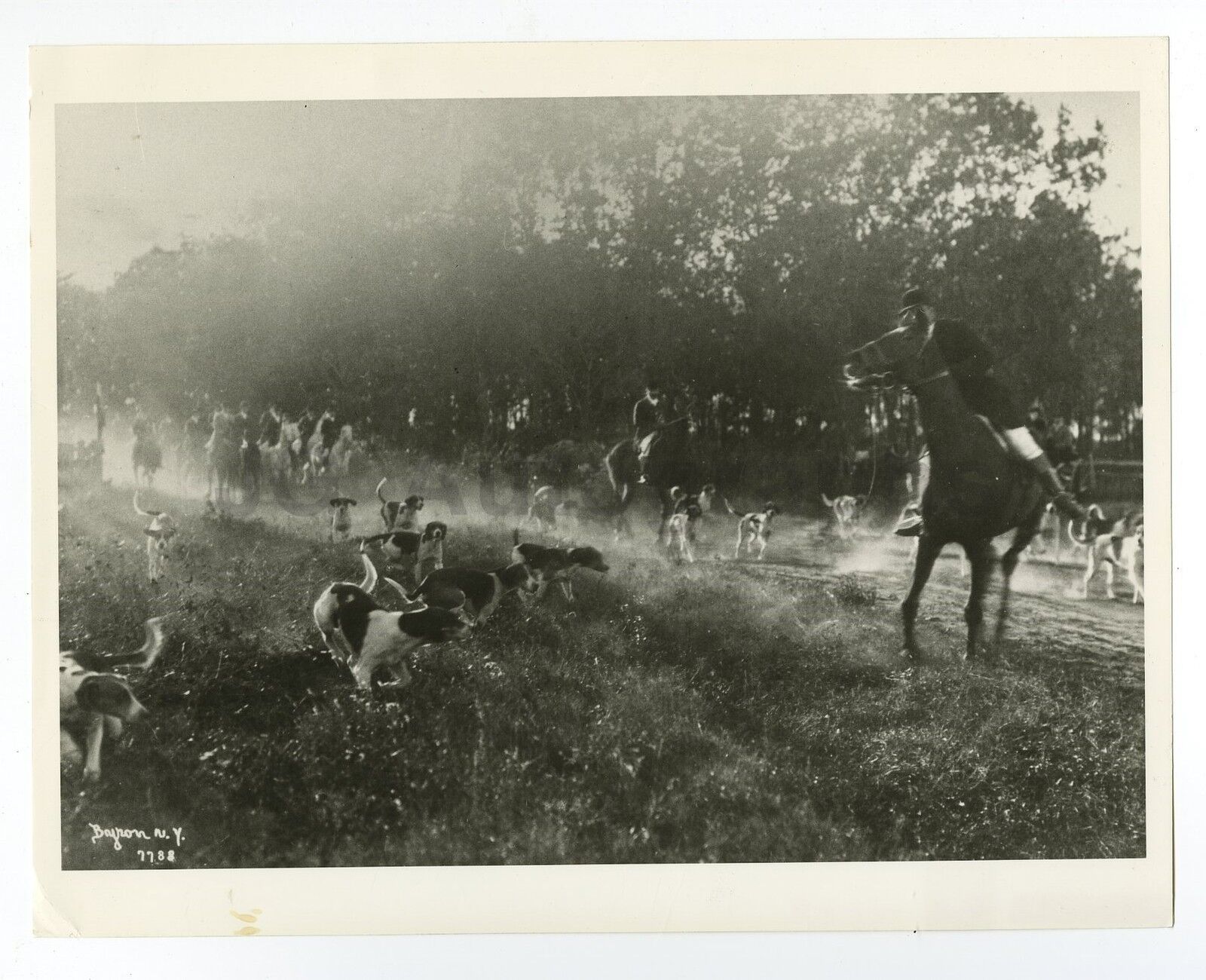 Classic Americana - Vintage 8x10 Publication Photo Poster paintinggraph - 1899 Fox Hunting