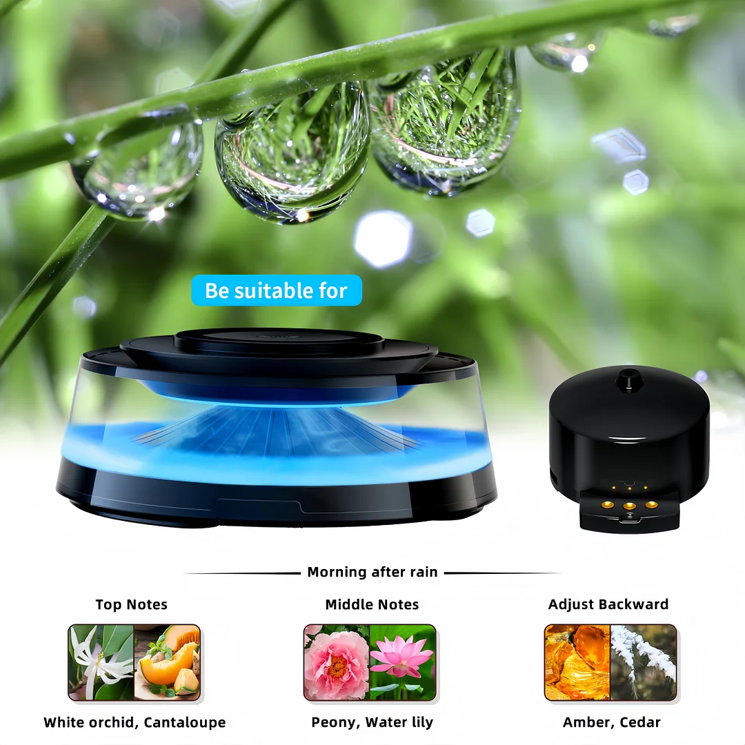 Wireless magnetic charger Atmosphere light Audio Cloud viewing Car aromatherapy