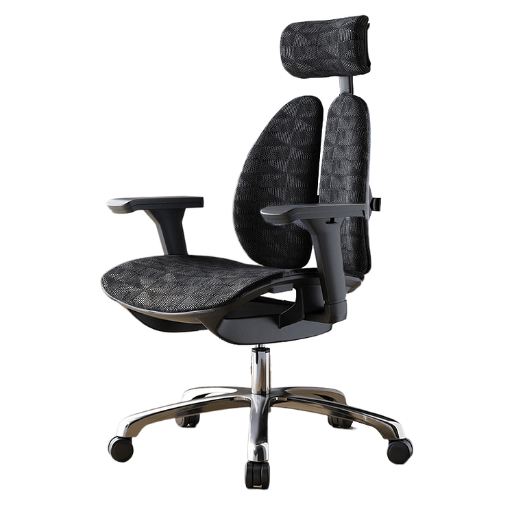 B-W08 Twin Back Ergonomic Chair 