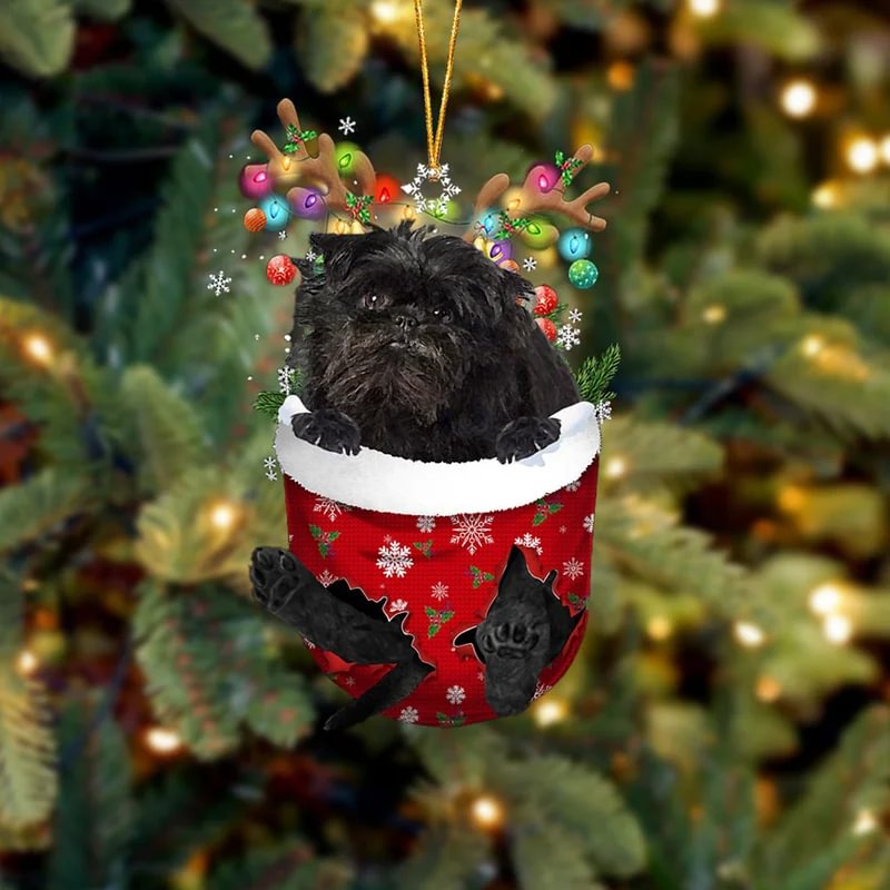 Affenpinscher In Snow Pocket Christmas Ornament