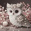 Diamond Painting-DIY Crystal Rhinestone Owl