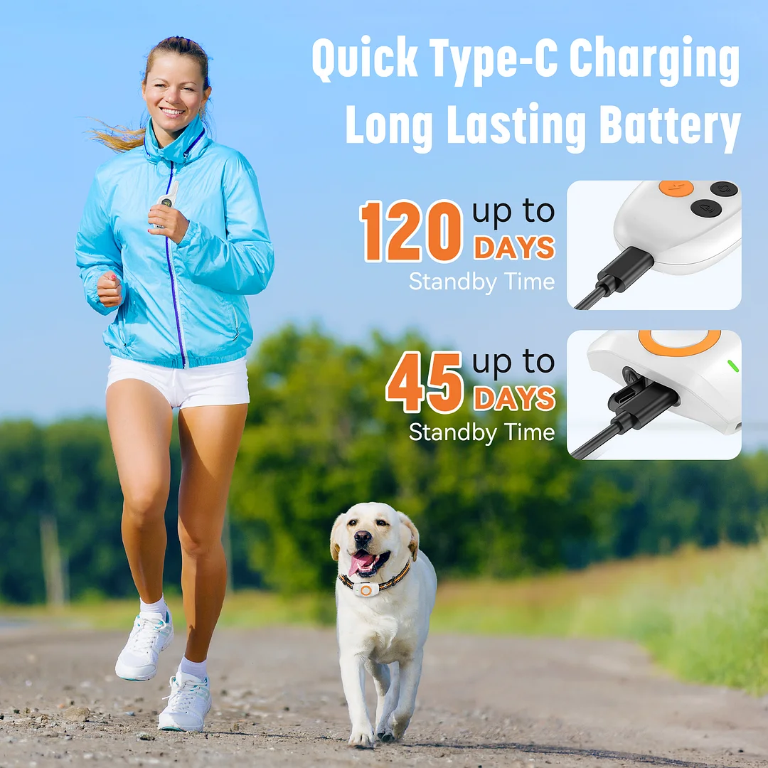 MAXLAPTER IPX7 Waterproof Rechargeable Dog Training Collar，2624ft Remote Control Dog Shock Collar，3 Training Modes