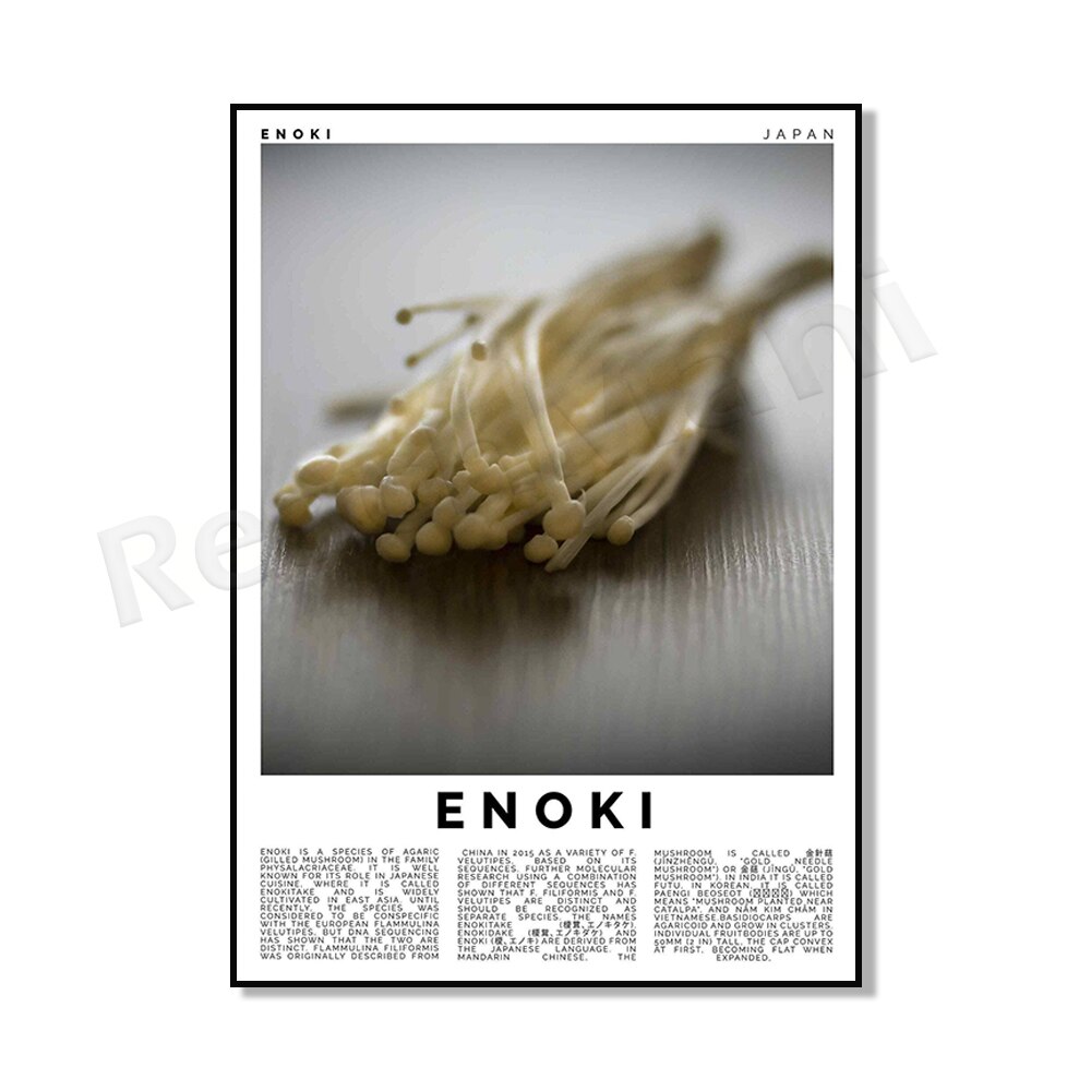 Botanist, white truffle, champignon, chanterelle, maitake, morel, porcini, enoki mushroom poster art kitchen decor, cooking gift