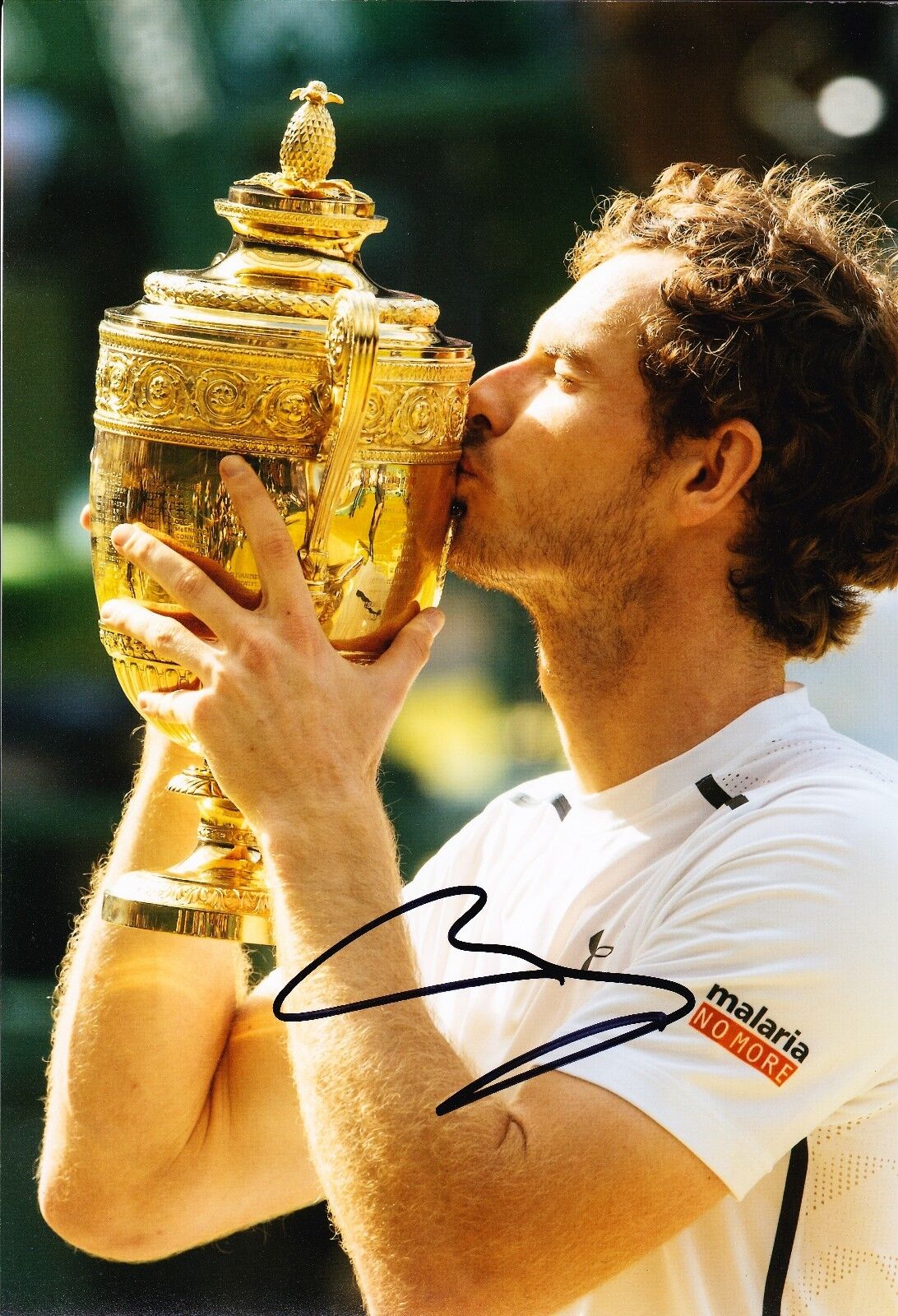 Andy Murray Signed 12X8 Photo Poster painting Genuine US OPEN TENNIS WIMBLEDON AFTAL COA (A3)