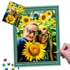 uk.everydayedeals Custom Diamond Painting Kits