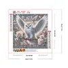 Owl And White Rose-Full Round Diamond Painting 30*30CM