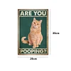 Asian pussy - Vintage Metal Signs - 20*30cm