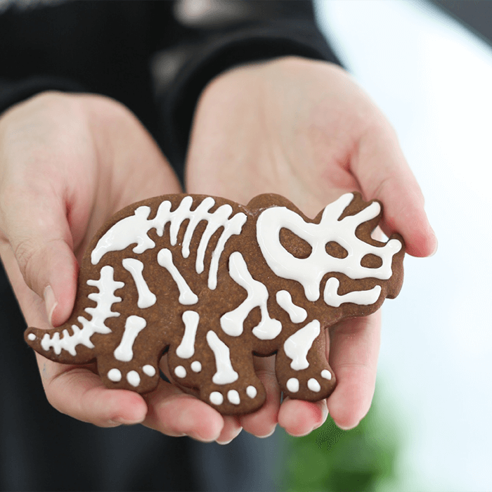 3pcs Dinosaur Cookie Cutters & Skeleton Stampers