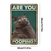Funny"Are You Pooping Cat" - Vintage Metal Signs(12*16Inch) - Cat