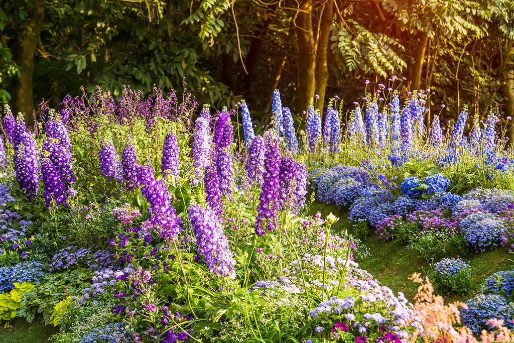 The Joy of Perennials – Cozyn's Garden Gallery