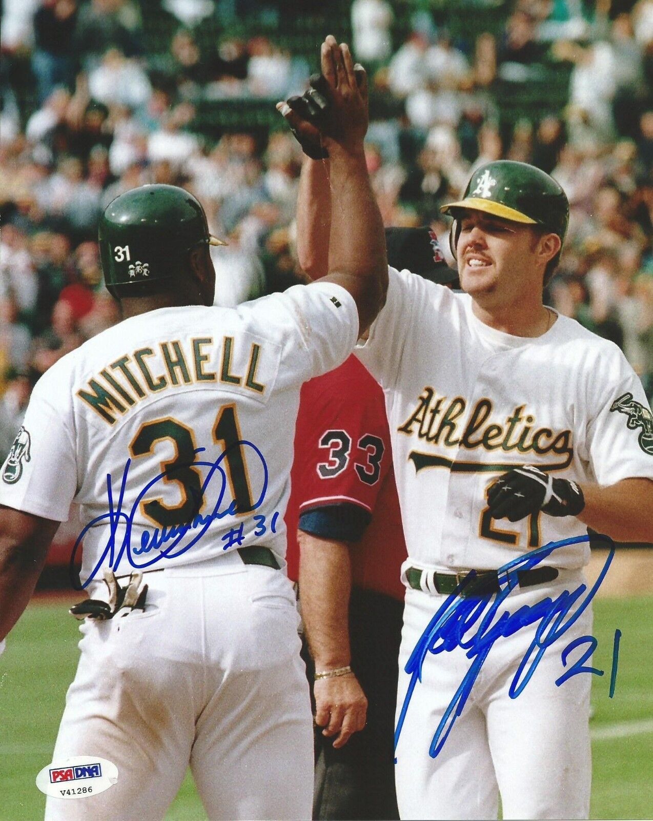 Kevin Mitchell & Scott Spiezio Signed 1998 A's 8x10 Photo Poster painting PSA/DNA COA Autograph