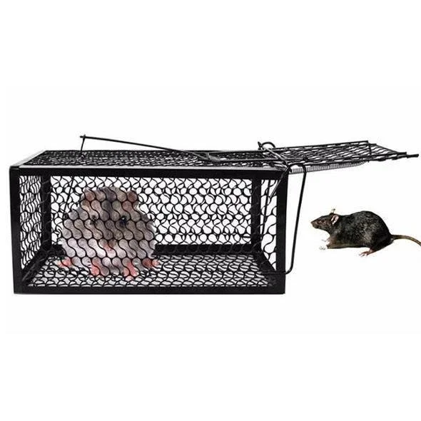 mouse killer rat trap