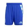Argentina Away Soccer Shorts 2024
