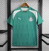 24/25 Palmeiras Green Training Suit