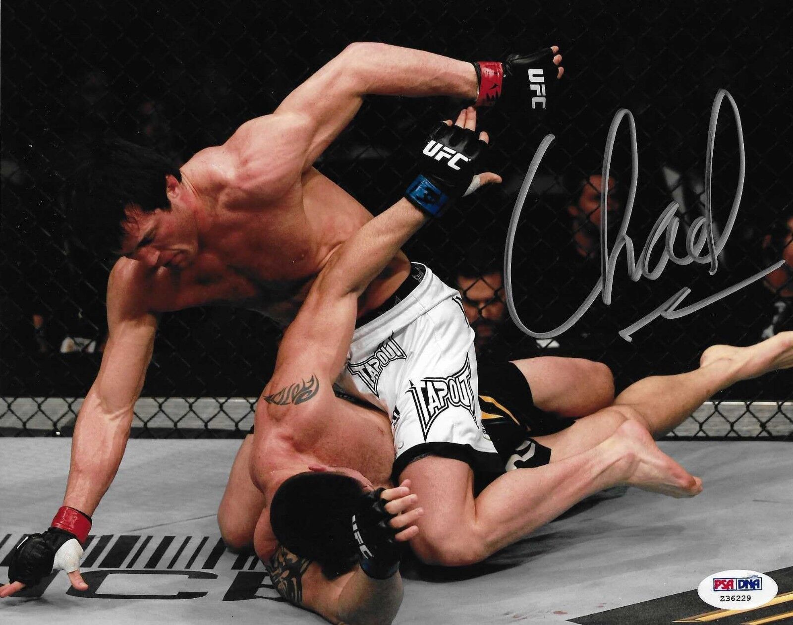 Chael Sonnen Signed UFC 8x10 Photo Poster painting PSA/DNA COA 136 Brian Stann Picture Autograph