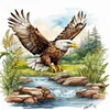 Eagle-Full Square Diamond Painting(35x45cm)