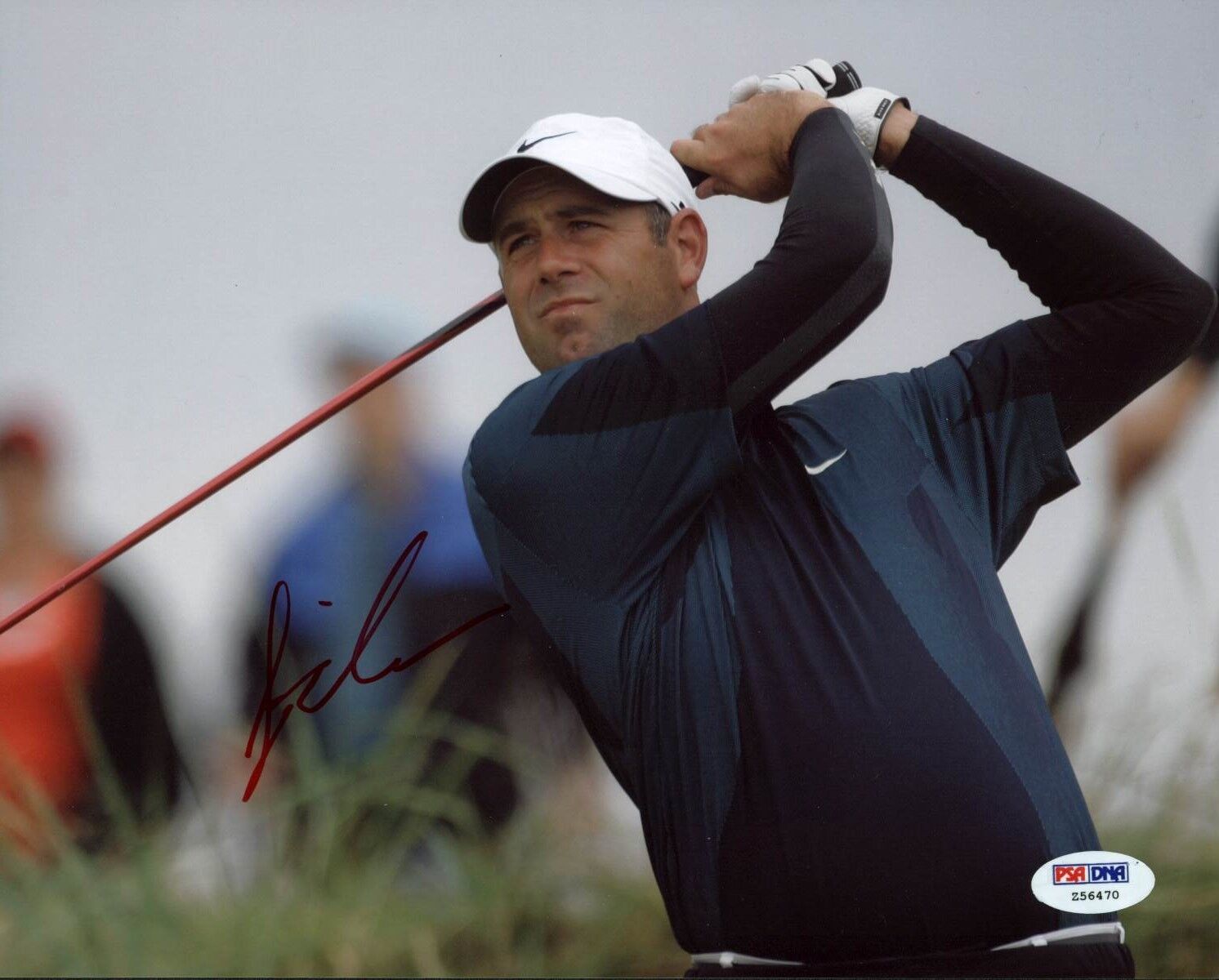 Stewart Cink PGA Golf Signed Authentic 8X10 Photo Poster painting Autographed PSA/DNA #Z56470