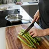 🌿Four Seasons Asparagus Mary Washington Seeds &ndash; Perennial, Tender, Nutrient