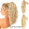 Ponytail Hair Extensions