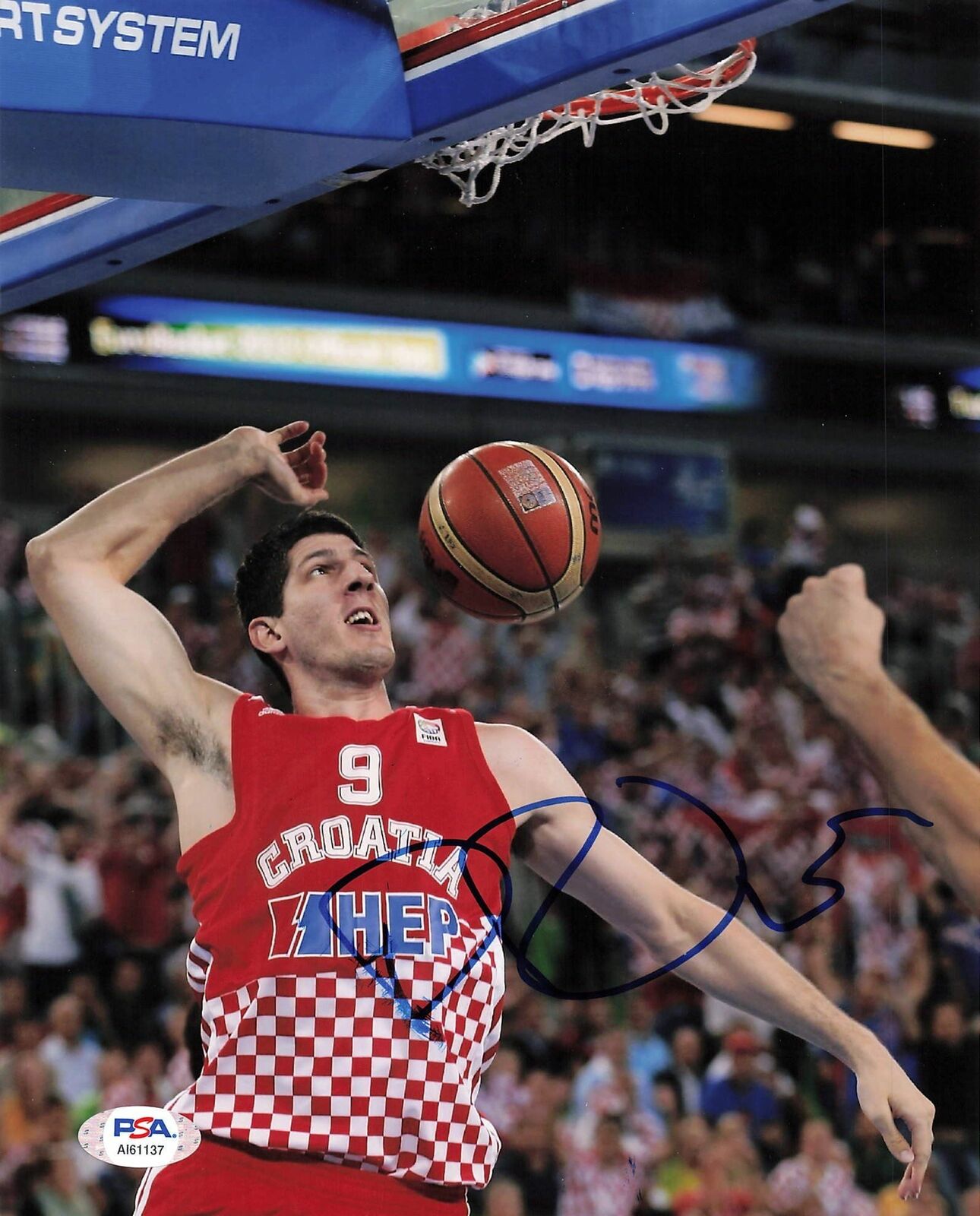 Damjan Rudez signed 8x10 Photo Poster painting PSA/DNA Orlando Magic Croatia Autographed