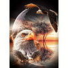 Diamond Painting-DIY Full Round Drill Eagle
