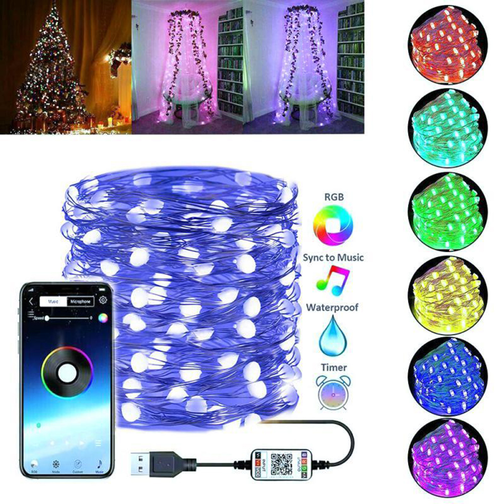 

LED Christmas String Lights Bluetooth App Control Waterproof Fairy Light, 2m20led, 501 Original