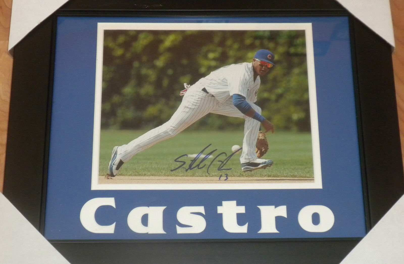 STARLIN CASTRO CHICAGO CUBS SIGNED 8X10 Photo Poster painting FRAMED 11X14 MATTING