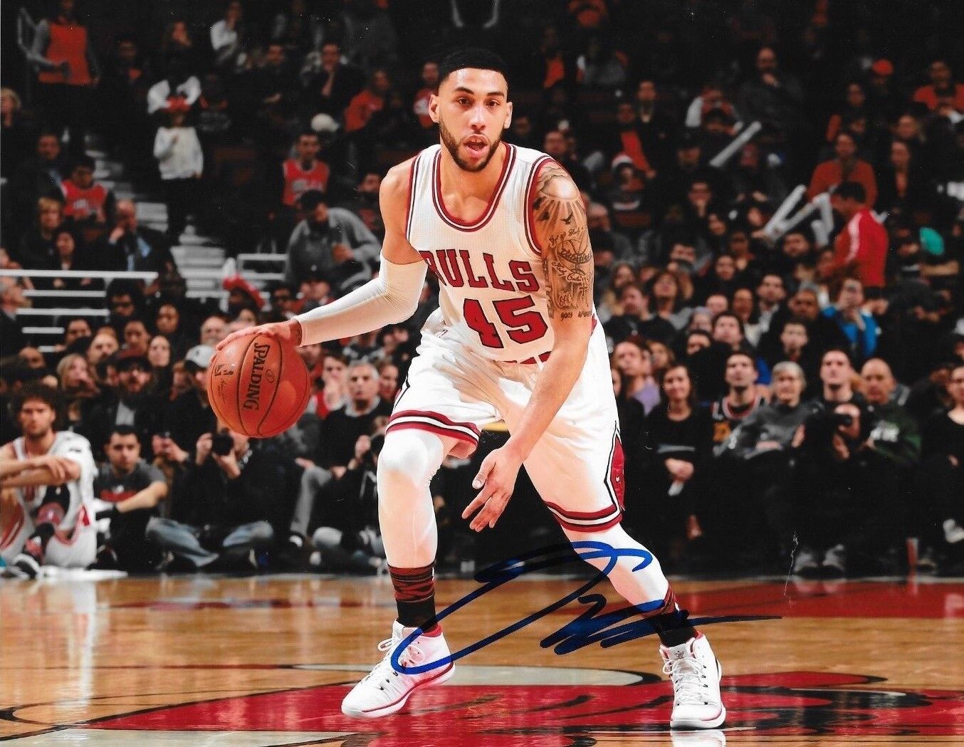 Denzel Valentine signed Chicago Bulls 8x10 Photo Poster painting autographed Michigan State 2