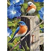 Diamond Painting -DIY Full Square Drill Bird