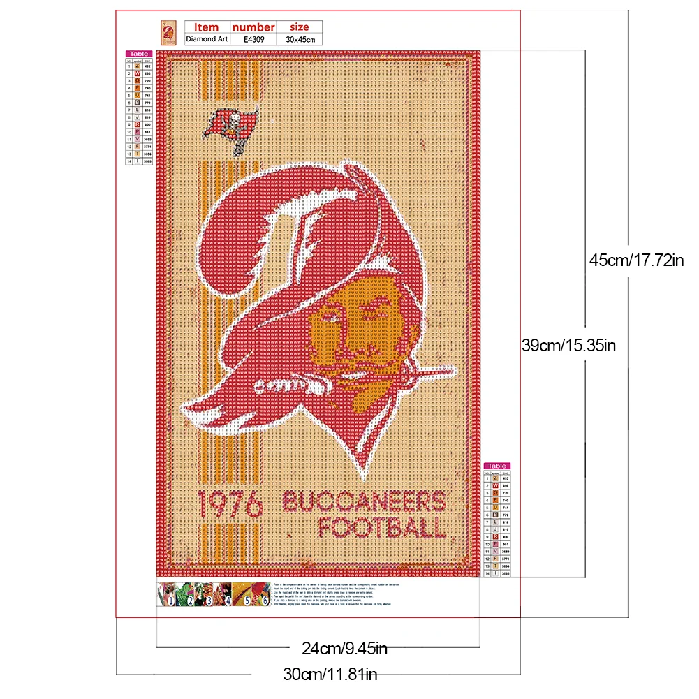Diamond Painting - Full Round Drill - Tampa Bay Buccaneers(Canvas|30*45cm)