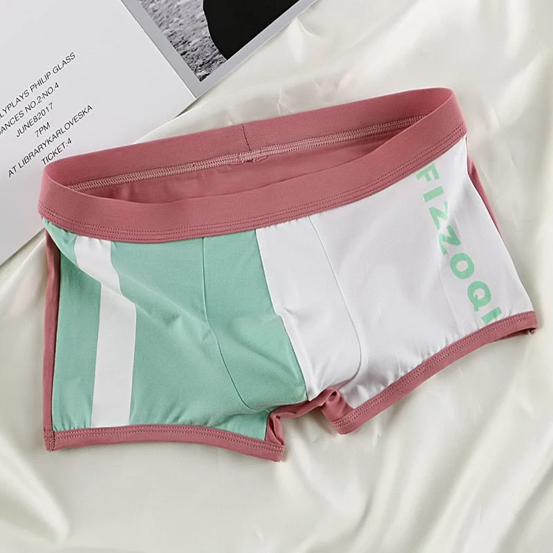 Aonga 2023 Men's Panties Cotton Boxer Briefs Men Underpants Luxury  Mens Underwear Boxers Man Youth Brand Underware Shorts Masculino