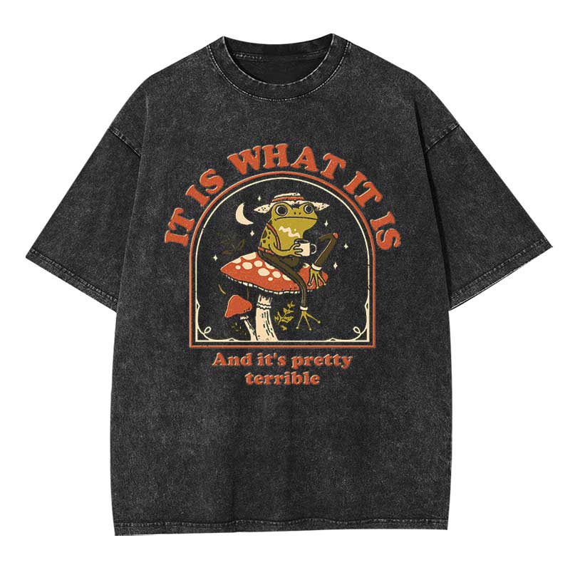 It Is What It Is Washed T-shirt