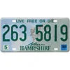 New Hampshire - Car License(12*6Inch)