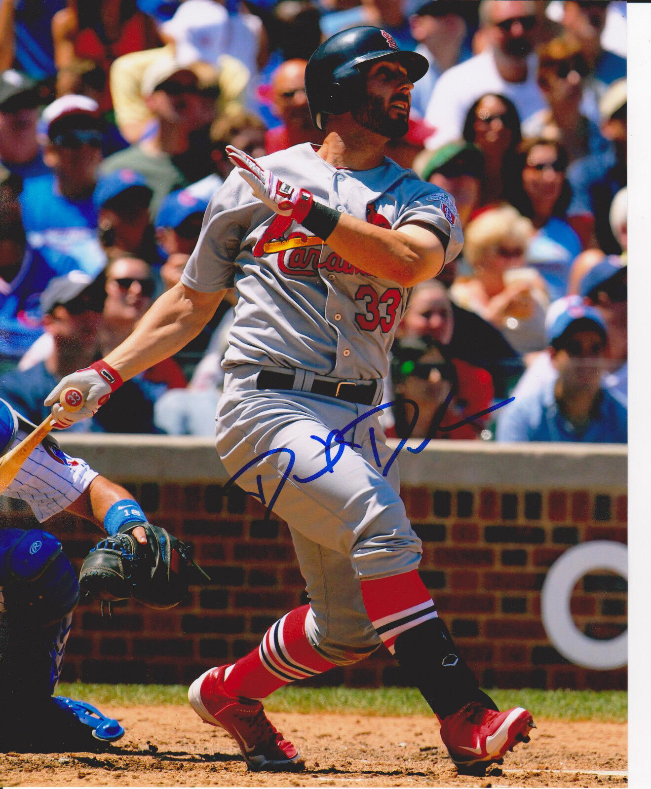 DANIEL DESCALSO signed ST. LOUIS CARDINALS 8x10 Photo Poster painting