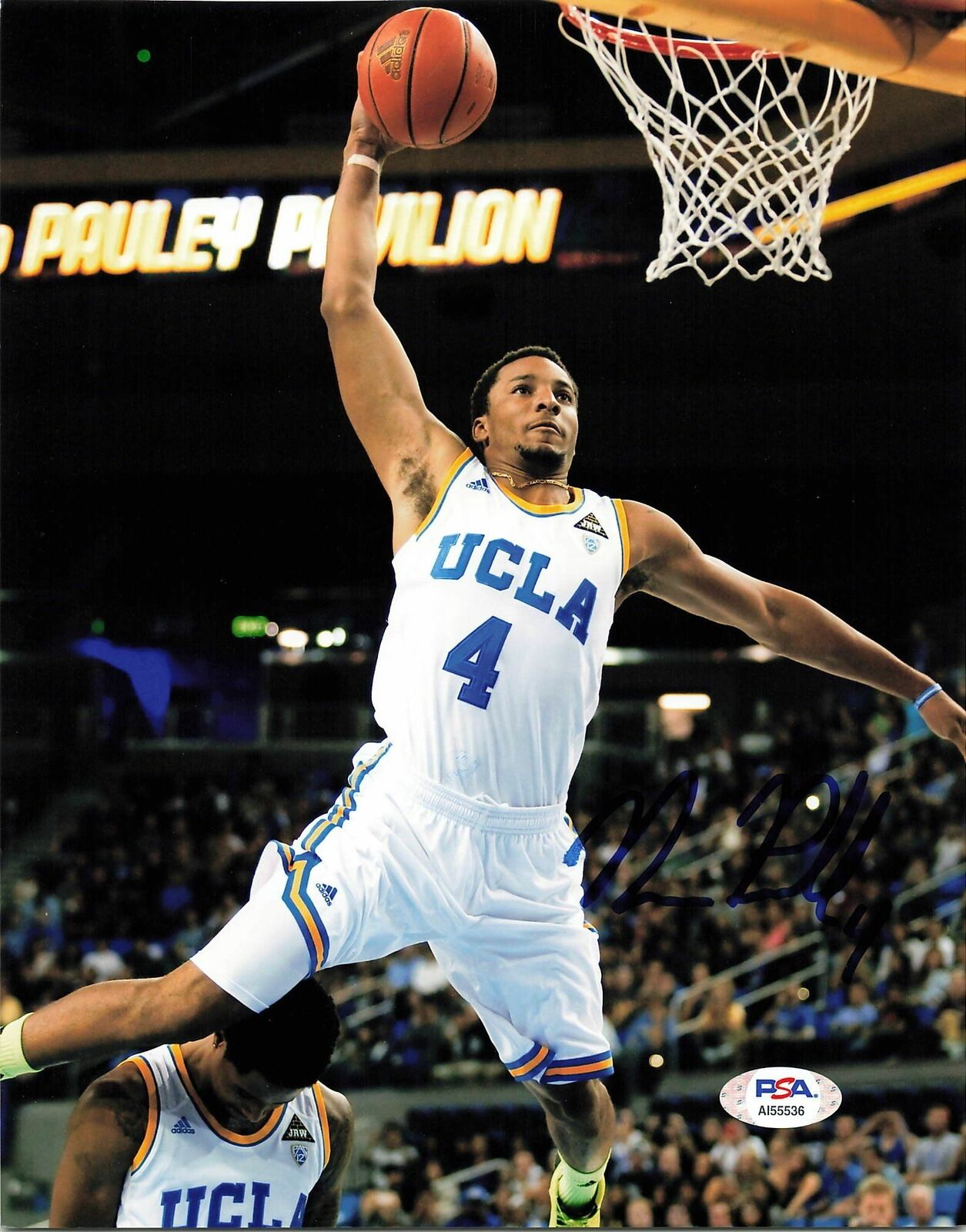 Norman Powell signed 8x10 Photo Poster painting PSA/DNA UCLA Bruins Autographed