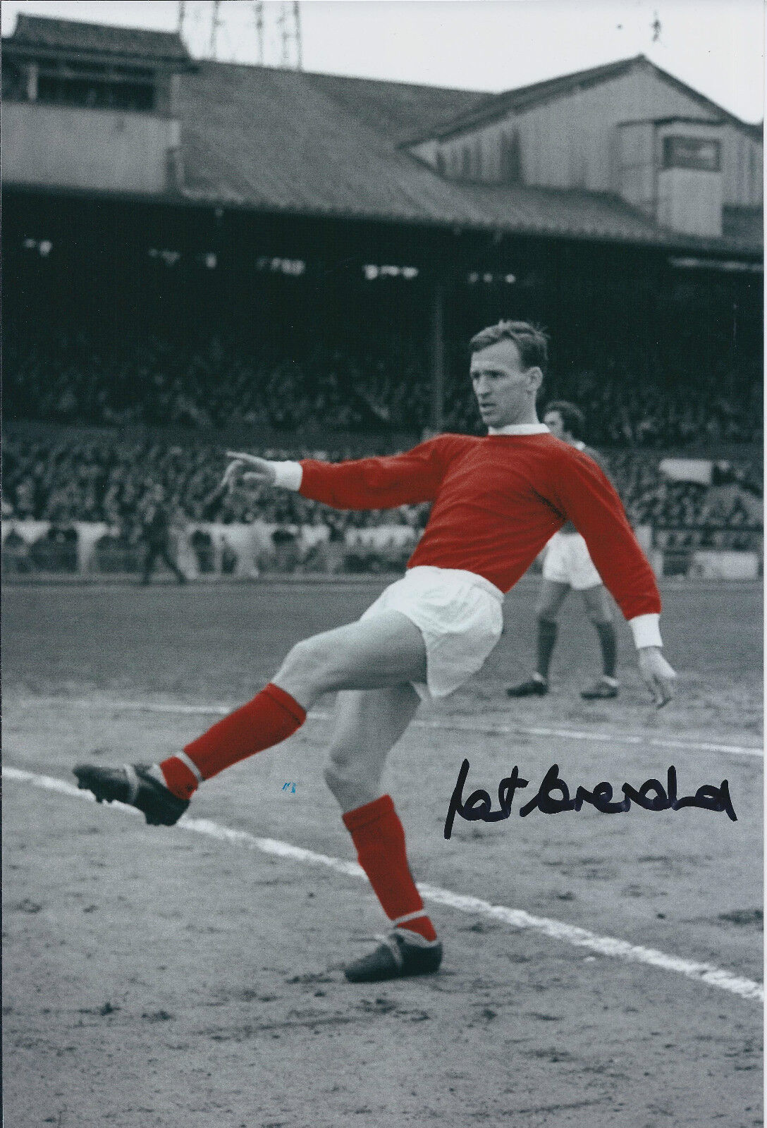 Pat CRERAND Signed Autograph 12x8 Photo Poster painting AFTAL COA Manchester United Genuine