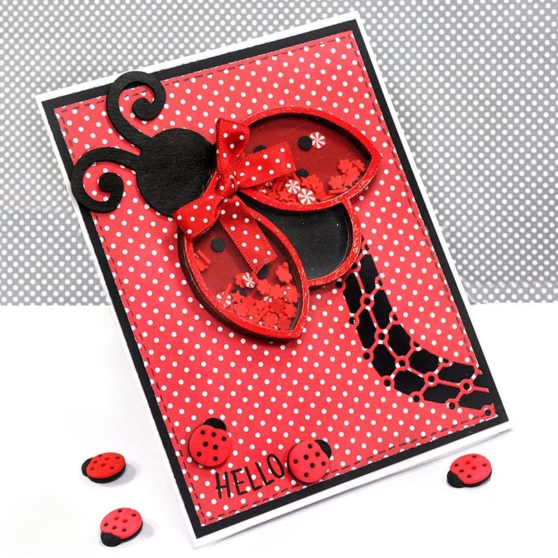TOP EXPRESSION Ladybuy Shaker Metal Cutting Dies Stencils for DIY Scrapbooking Decorative Embossing DIY Paper Cards