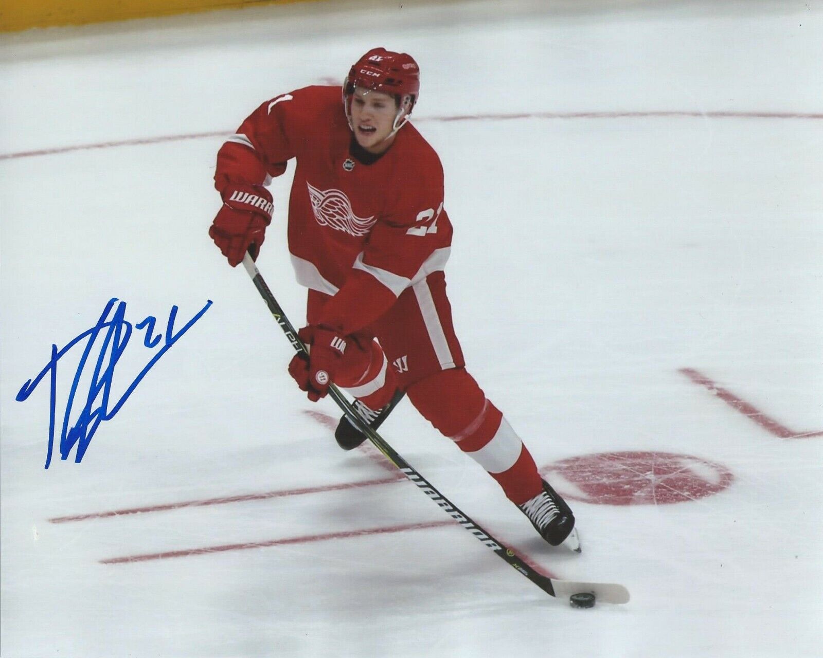 Dennis Cholowski Signed 8x10 Photo Poster painting Detroit Red Wings Autographed COA B