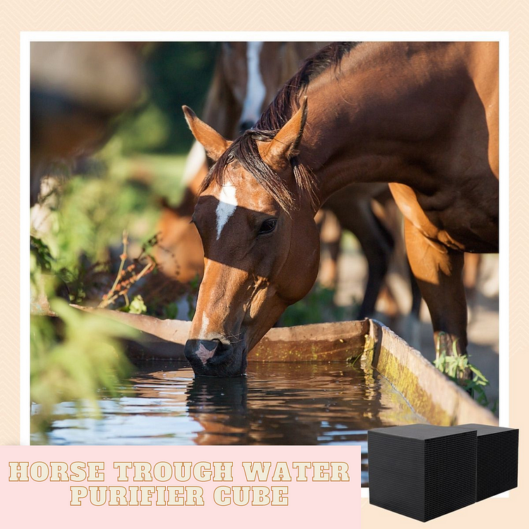 [PROMO 30% OFF] Horse Trough Water Purifier Cube