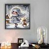 Snow Girl - Diamond Painting - Partial Special Shaped Drill(Canvas|30*30cm)