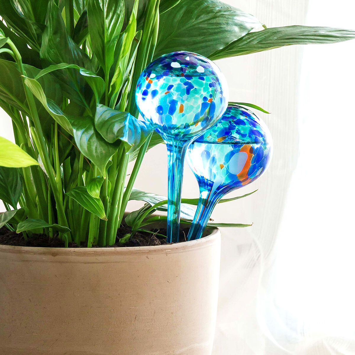Automatic Watering Globes Aqua&middot;Loon InnovaGoods 2 Units