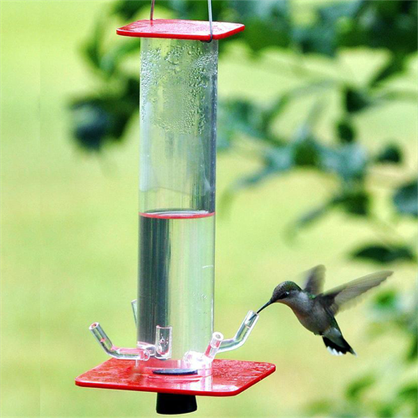 Transparent Hummingbird Feeder Viewing Design Feeding System