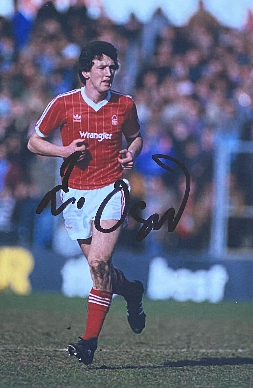 Peter Davenport Genuine Hand Signed Nottingham Forest 6X4 Photo Poster painting 2