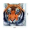 uk.everydayedeals (Limited Stock)Paint By Number - Oil Painting -  Tiger (40*40Cm)